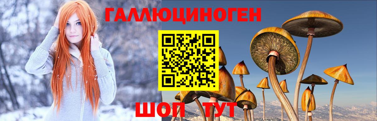 Галлюциногенные грибы ЛСД Кувандык